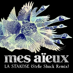 Pochette La stakose (Stefie Shock Remix)