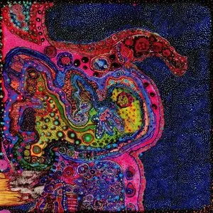 Pochette de Bring the Neon War Home de Yellow Swans