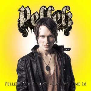 Pochette de Covers Vol. 16 de PelleK