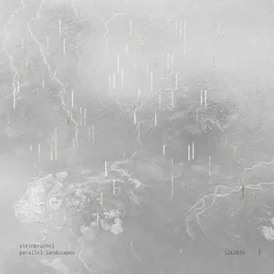 Pochette de Parallel Landscapes de Ralph Steinbrüchel