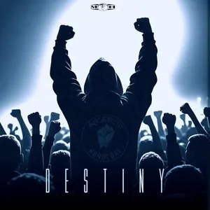 Pochette de Destiny de Angerfist