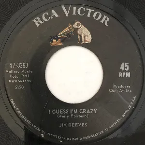 Pochette de I Guess I’m Crazy / Not Until the Next Time de Jim Reeves