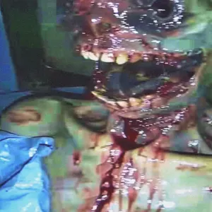 Pochette de prayer:.: de Nitepunk