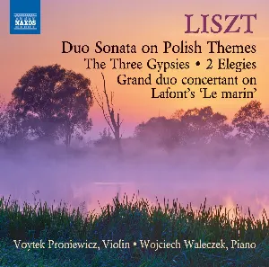 Pochette de Works for Violin & Piano de Franz Liszt