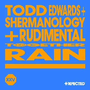 Pochette de Rain de Shermanology - Rudimental - Todd Edwards