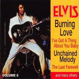 Pochette Elvis: The 100 Top Hits Collection, Volume 5