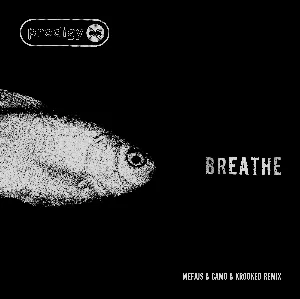 Pochette Breathe (Mefjus & Camo & Krooked remix)