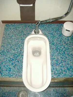 Pochette de AMEN JUNK TOILET de CDR