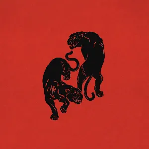 Pochette de Colors de Black Pumas
