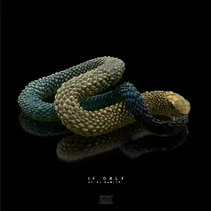Pochette de If Only de Kojey Radical
