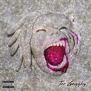 Pochette de Half Tee Half Beast de Tee Grizzley