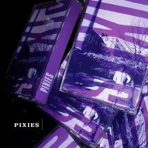 Pochette Pixies