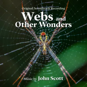 Pochette de Webs and Other Wonders de John Scott