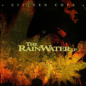 Pochette The Rainwater LP