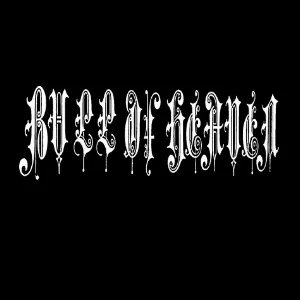 Pochette de 237: Disordered Before the Naked Picture of Despair de Bull of Heaven