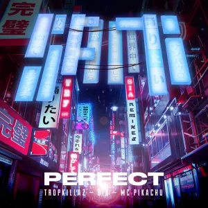 Pochette de Perfect de Sia - Tropkillaz