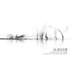 Pochette de QUIESCE: in search of a liminal space de sonicbrat