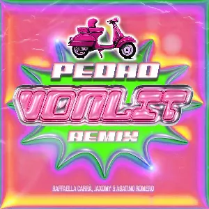 Pochette de Pedro (Von Lit TECHNO DNB remix) de Raffaella Carrà