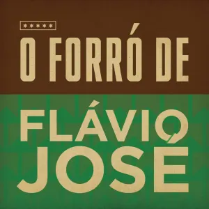 Pochette de O Forró de Flávio José de Flávio José