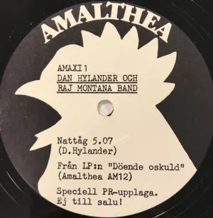 Pochette de Nattåg de Raj Montana Band - Dan Hylander