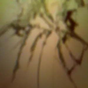 Pochette de kaputt de Ueda Takayasu