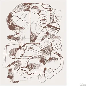 Pochette de Ambitions de Prins Thomas