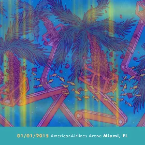 Pochette 2015-01-01: AmericanAirlines Arena, Miami, FL, USA