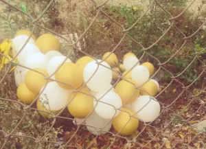 Pochette de Morning de Kevin Drumm