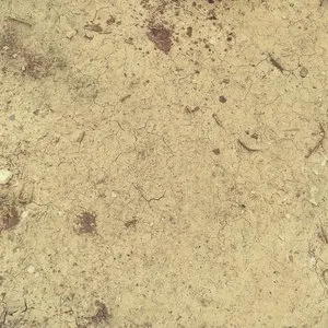 Pochette de THE EAR DROPS de Kevin Drumm