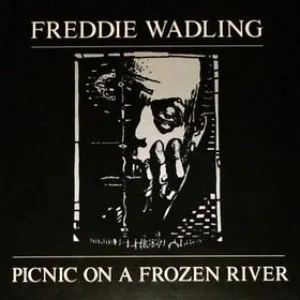 Pochette de Picnic on a Frozen River de Freddie Wadling