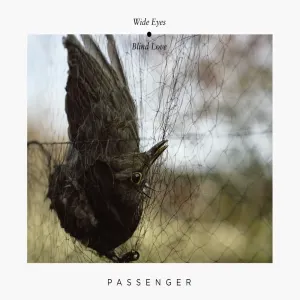 Pochette de Wide Eyes Blind Love de Passenger