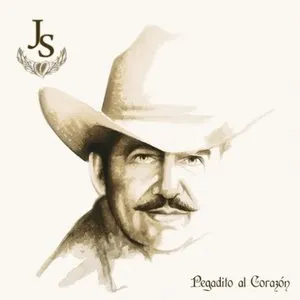 Pochette de Pegadito al corazón de Joan Sebastian