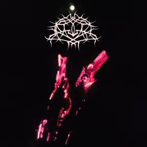 Pochette de No Hope de Krallice