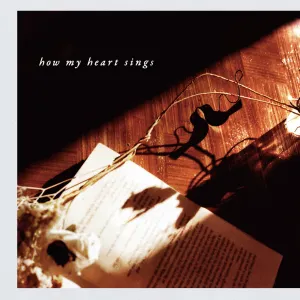 Pochette de How My Heart Sings de Akira Kosemura