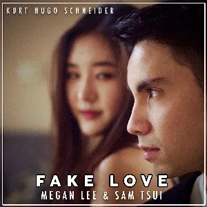 Pochette de Fake Love de Sam Tsui - Kurt Hugo Schneider