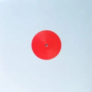 Pochette de LP2RMX de Los Punsetes