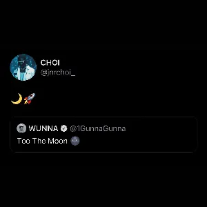 Pochette de TO THE MOON (Gunna remix) de Gunna