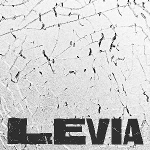 Pochette de Levia de Sunset Rollercoaster