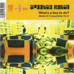 Pochette de What’s a Boy to Do? de Spookey Ruben