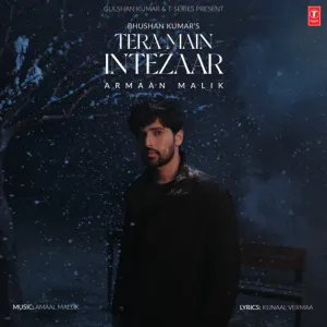 Pochette de Tera Main Intezaar de Amaal Mallik