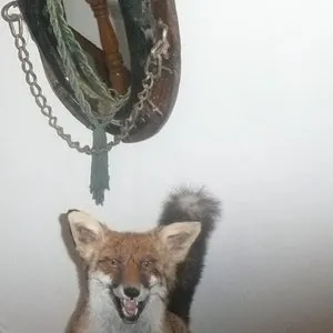 Pochette de Irradiate de Kevin Drumm