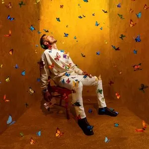 Pochette de Doing Fine de The Cat Empire