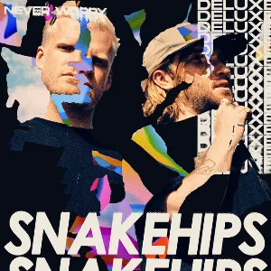Pochette de My Body // Your Body de Snakehips