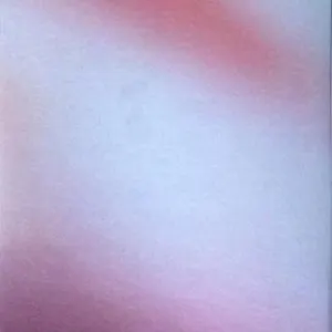 Pochette de T.P.T.M.B.T.D. de Maurizio Bianchi
