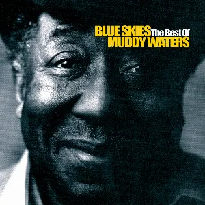 Pochette Blue Skies: The Best of Muddy Waters