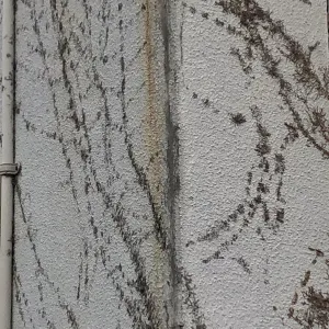 Pochette de One Misunderstanding de Ueda Takayasu