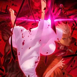 Pochette de Fate/stay night [Heaven’s Feel] II. lost butterfly オリジナルサウンドトラック de Yuki Kajiura