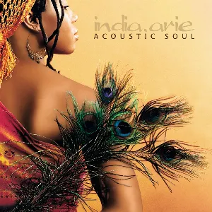 Pochette Acoustic Soul