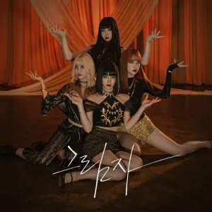 Pochette de 그림자 de PinkFantasy