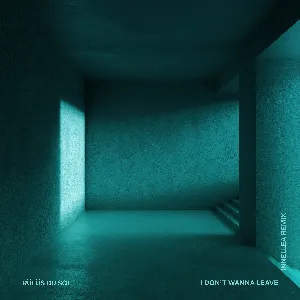 Pochette de I Don’t Wanna Leave (Innellea remix) de RÜFÜS DU SOL